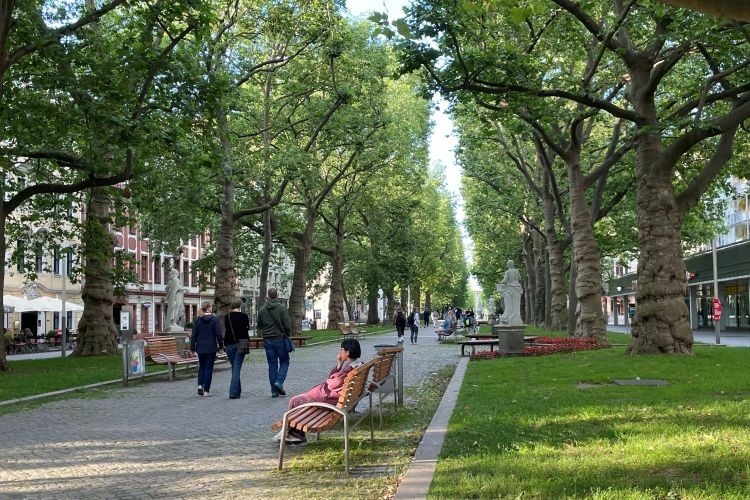 Blick in eine baumbestandene Fußgängerzone mit Bänken, Spaziergängern und Statuen.